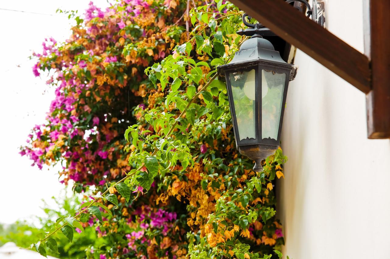 Bed & Breakfast Santa Fara Bari Exterior photo